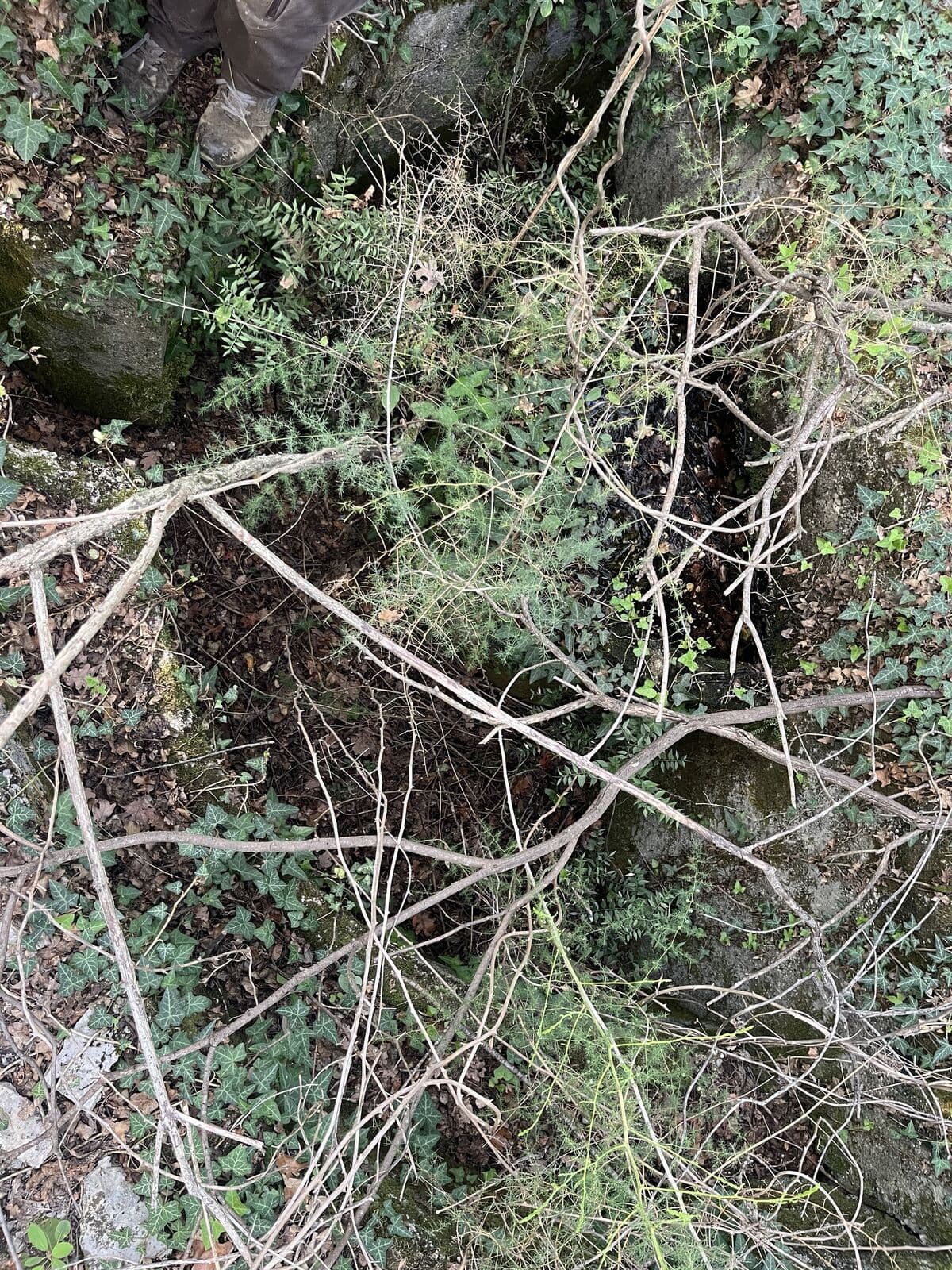 Bunker north